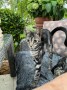Sally_Sam (6)